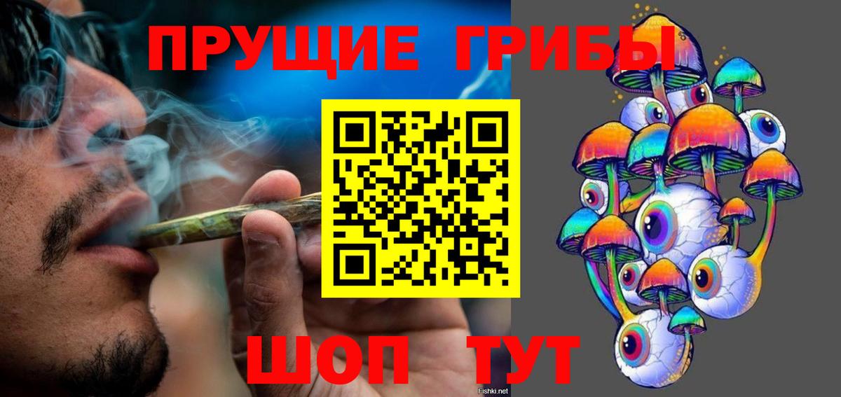 Галлюциногенные грибы Psilocybine cubensis Кулебаки
